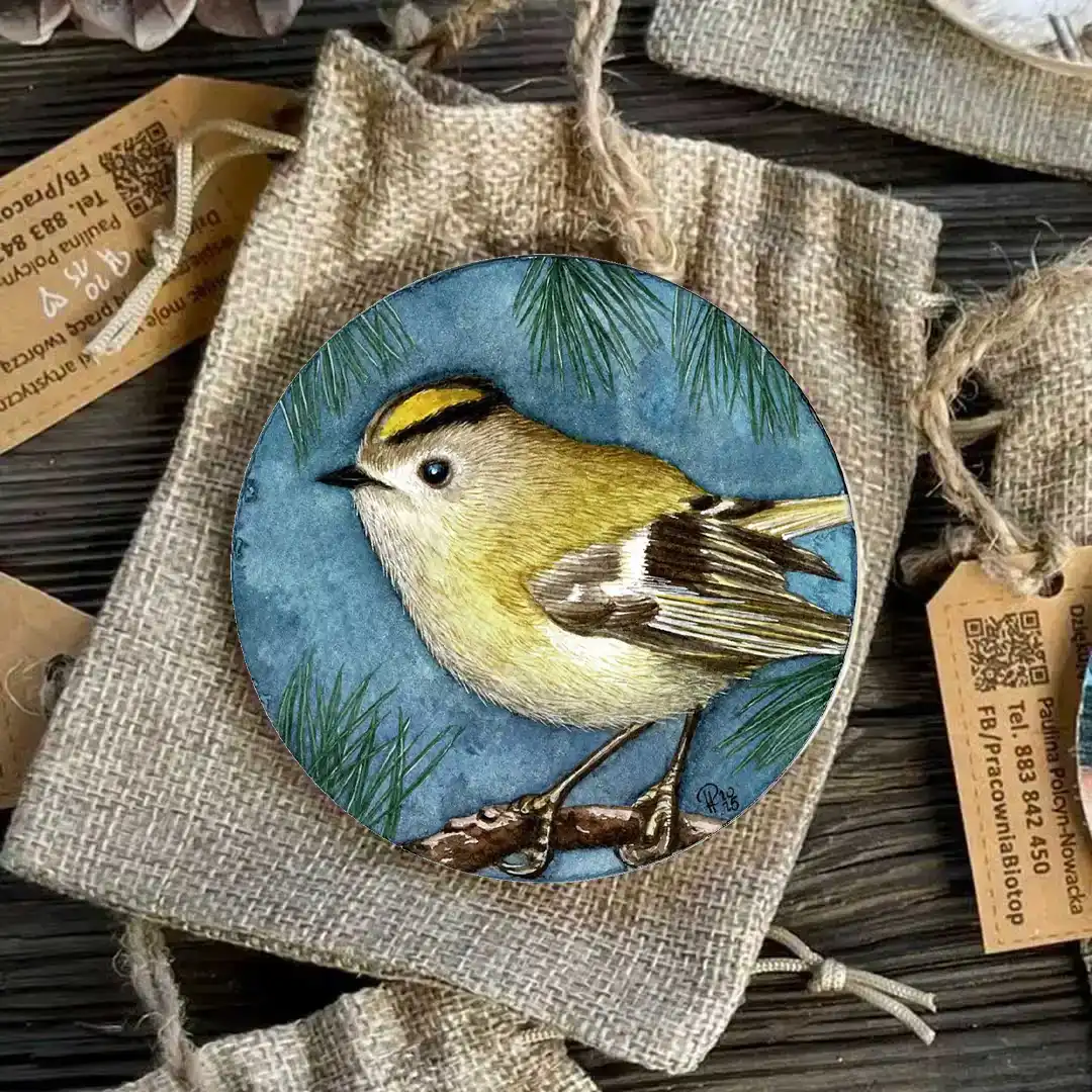 Ptak mysikrólik woreczek