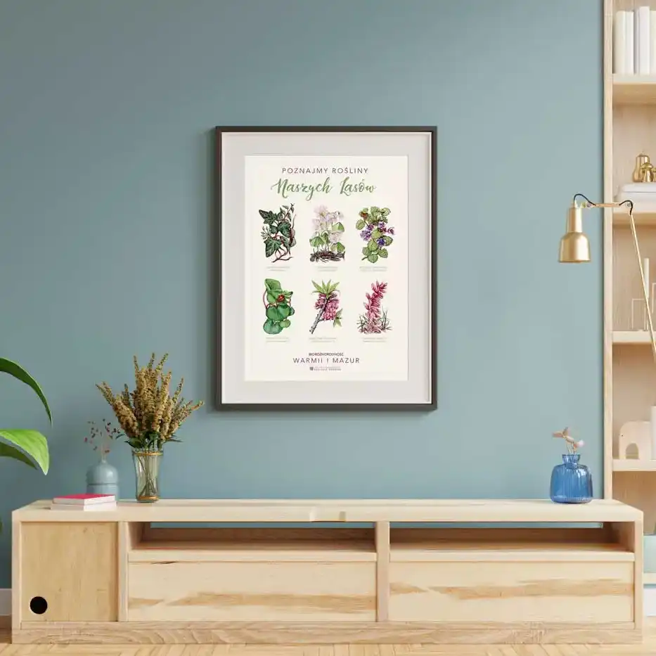 Plakat „Poznajmy rośliny Naszych Lasów”