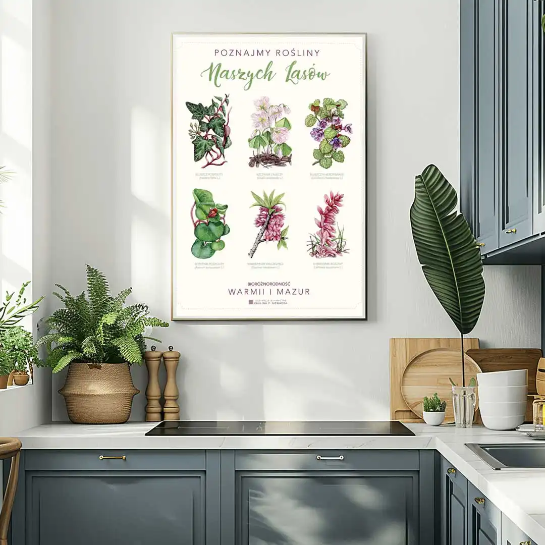 Plakat „Poznajmy rośliny Naszych Lasów” - obrazek 2