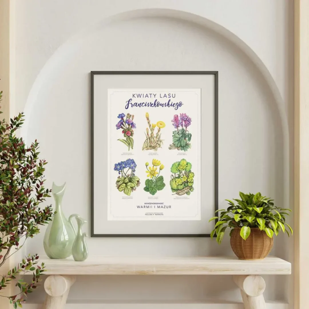 Plakat Rośliny Lasu Biotop Art