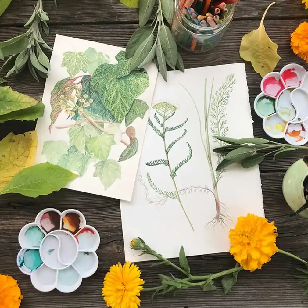 Rysunek botaniczny Biotop Art Warsztaty dla dorosłych