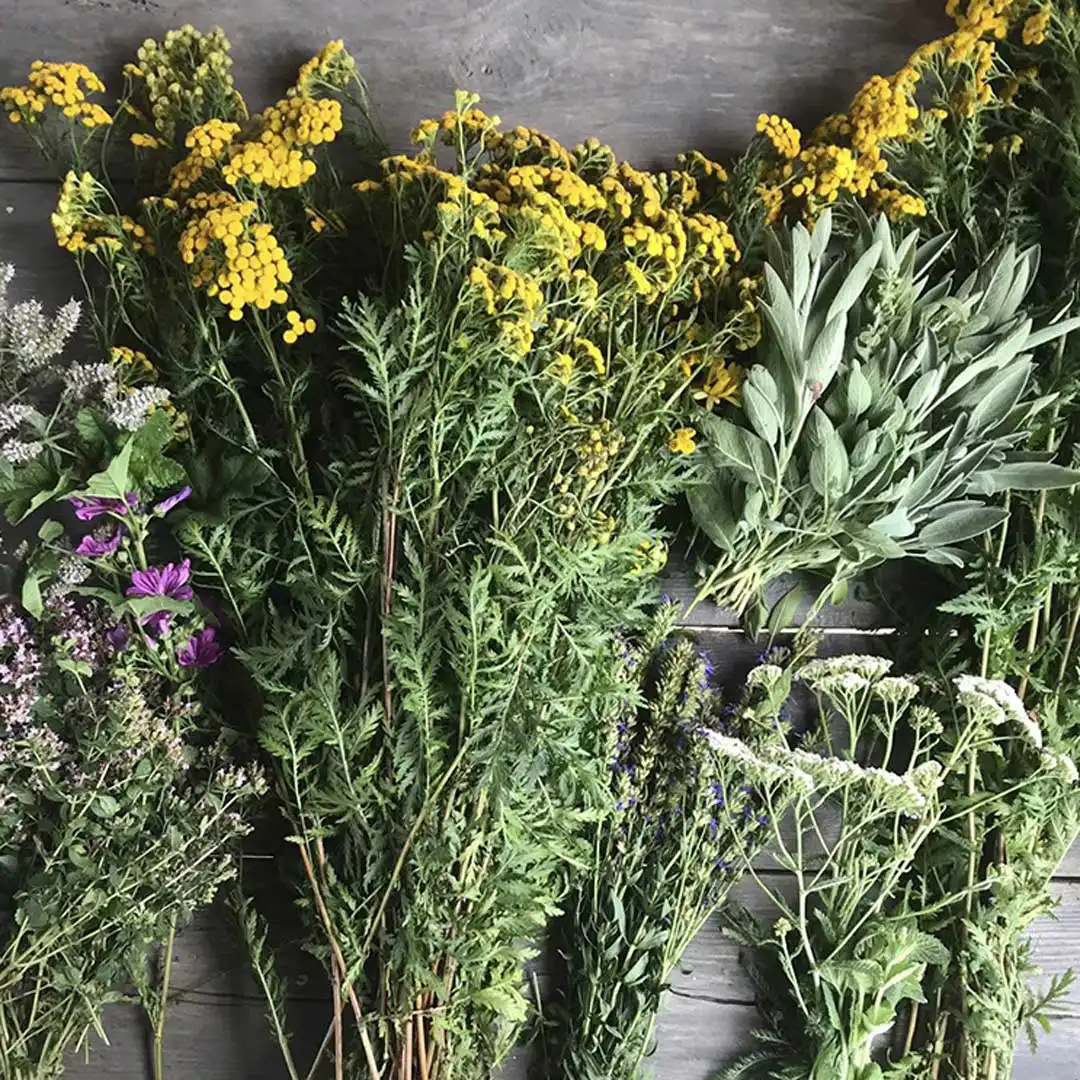 Ziołowe Spa, Biotop Art