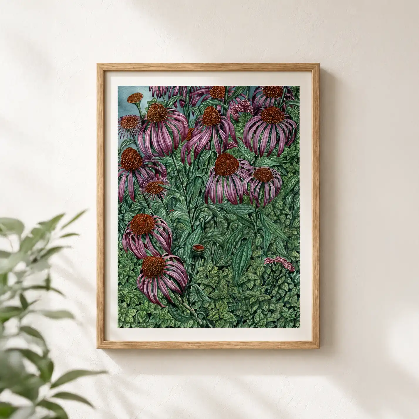 jezowka i oregano-reprodukcja Biotop Art lipiec w drewnianej ramie biala sciana