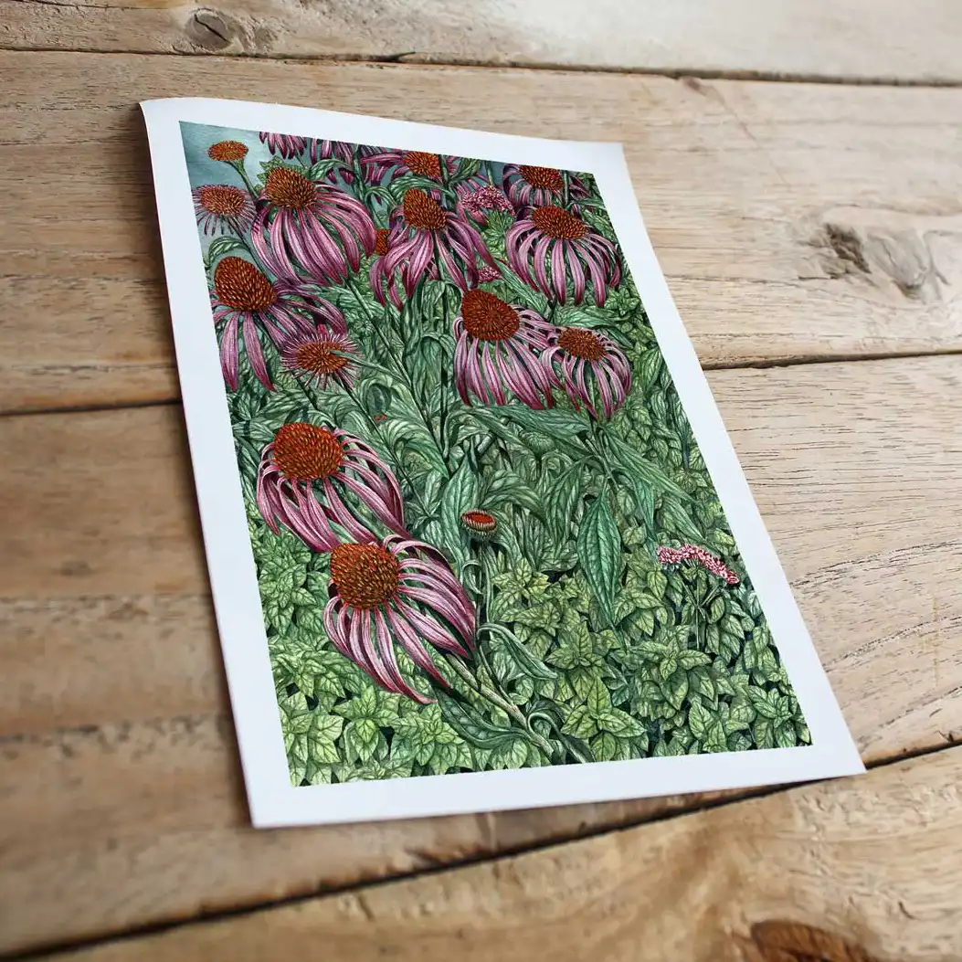 jezowka i oregano-reprodukcja Biotop Art lipiec